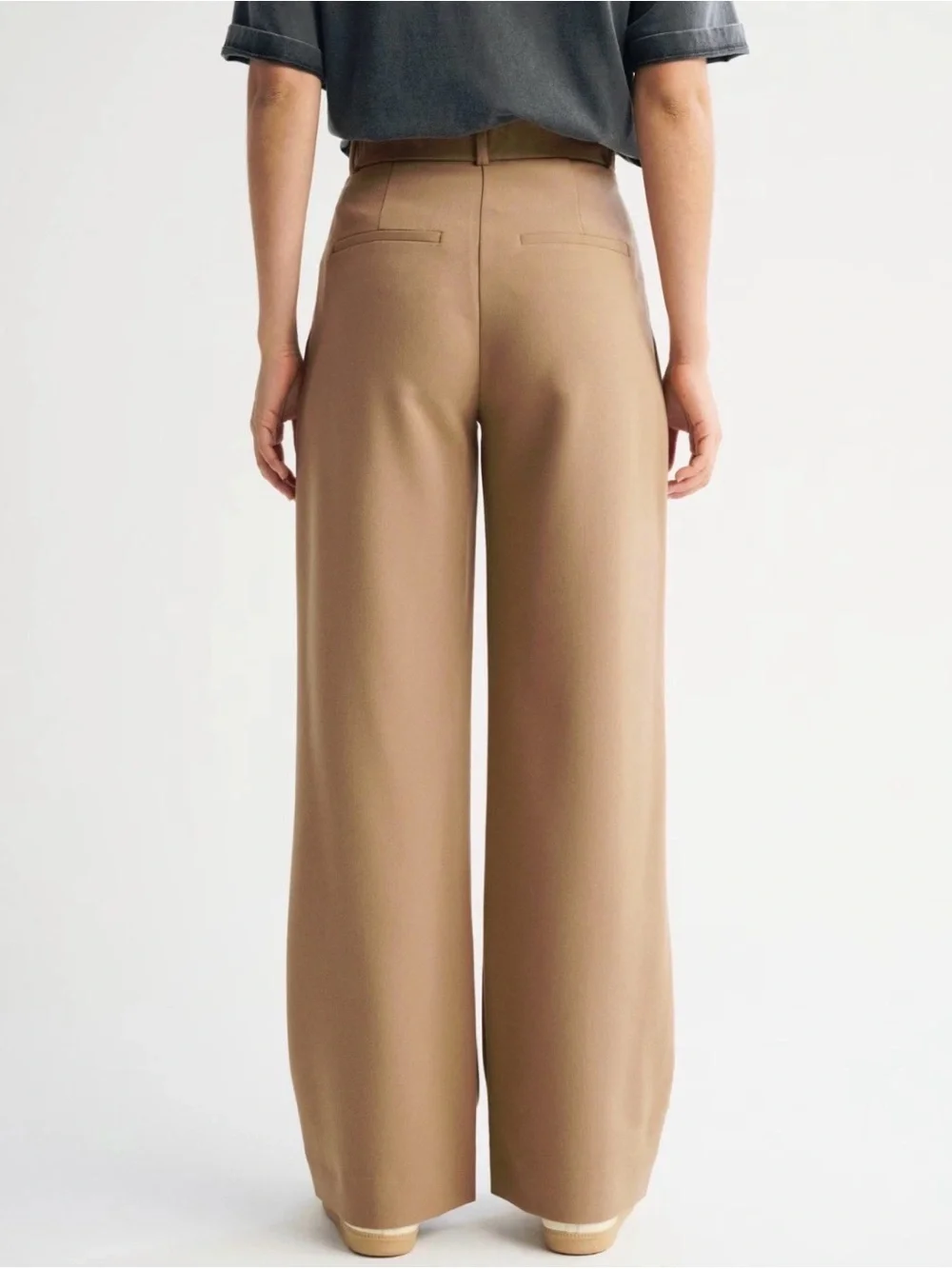 Abercrombie & Fitch Sloane Tailored Pleated Wide Leg Pant In Brown 10 / 30 Short - Picture 3 of 6